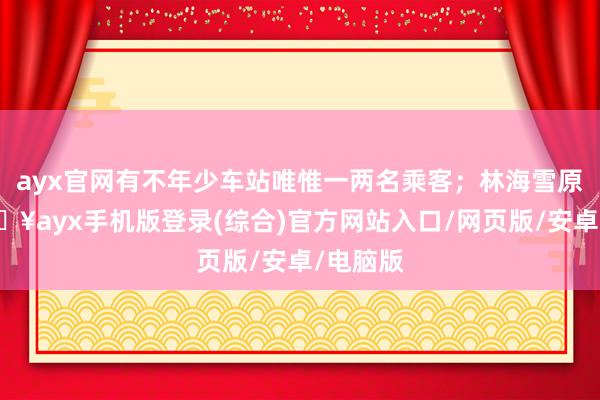 ayx官网有不年少车站唯惟一两名乘客；林海雪原上-🔥ayx手机版登录(综合)官方网站入口/网页版/安卓/电脑版